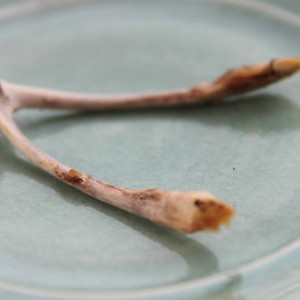 A Wishbone Tale