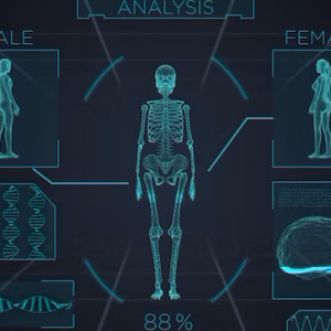 The Procreation Project